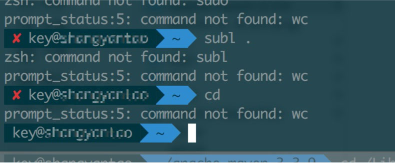 wc: command not found 01.jpg